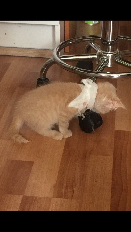 #_.  .     ,     , ...