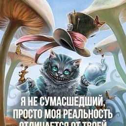 ¥&reg;@, �����������, 43 ����