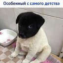 ���� Sergey, ����������� - ��������� 27 ����� 2019