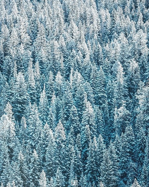       - 5