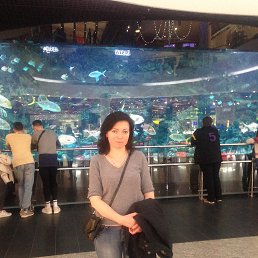 ���� ������, ���� - ��������� 18 ������� 2018