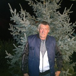 �������, �����������, 65 ���