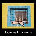 ���� ��������, �������, 50 ��� - ��������� 15 ������ 2018 � ������ ������ ��������