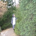  -   !,  -  24  2018       ..