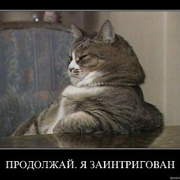  , -, 44 