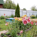 ���� ���������, ������ - ��������� 24 ������� 2018 � ������ ���� ����������