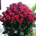 ���� ������, ������, 55 ��� - ��������� 20 ������ 2019 � ������ ���� ����������