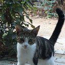 ������������� ��� �� ������� ���� ����������