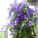 ���� �������, �����-���������, 64 ���� - ��������� 21 �������� 2018 � ������ ���� ����������