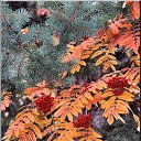 ���� Aleksa, ������, 30 ��� - ��������� 25 ������� 2018 � ������ ������ ��������