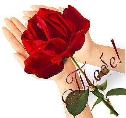   :    ,         .   ...