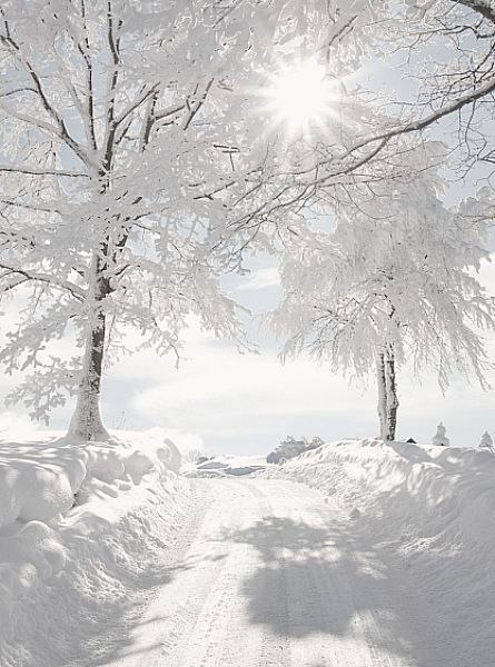  - 29  2018  17:28