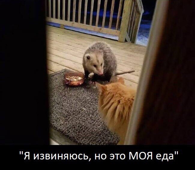 ... :) - 3