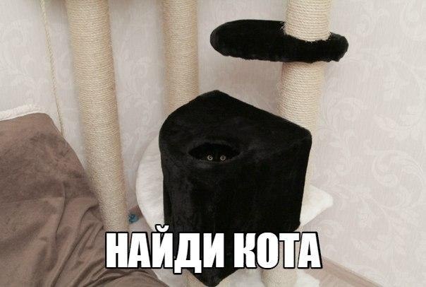    - 10  2019  16:54