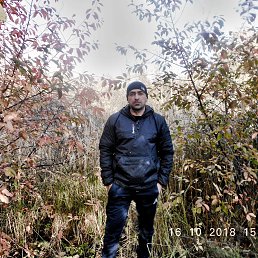 , 43, 