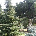 ,,25.02.19.10.55.        ,25.02.19.