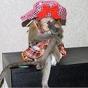    ....,  -  15  2019       !!!