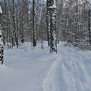 ���� �����, �������� - ��������� 6 ������ 2019 � ������ ���� ����������