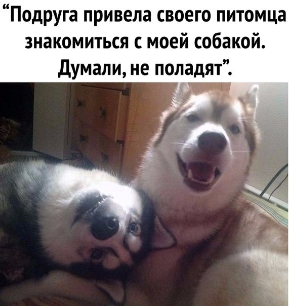 ~**~ - 15  2018  09:37
