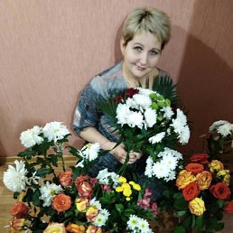 �����, �������, 56 ���