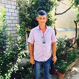 ���������, �����������, 43 ����