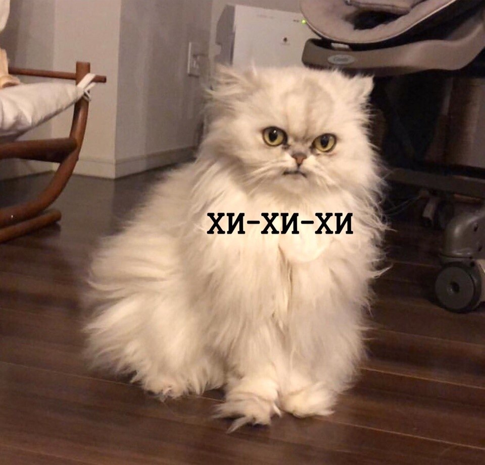    ,           