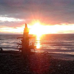 Andrei, ������, 38 ���