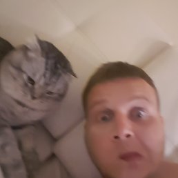 , , 42 