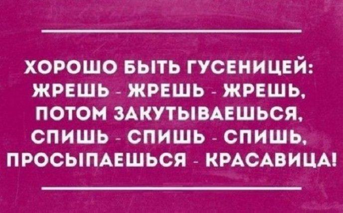  - 11  2019  19:43