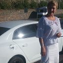 ���� �����, ���������� �����, 49 ��� - ��������� 8 ������ 2018 � ������ ���� ����������