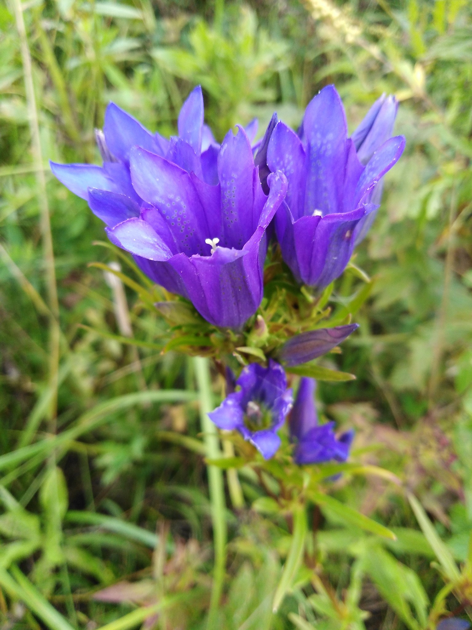  - 26  2018  21:03 - 3