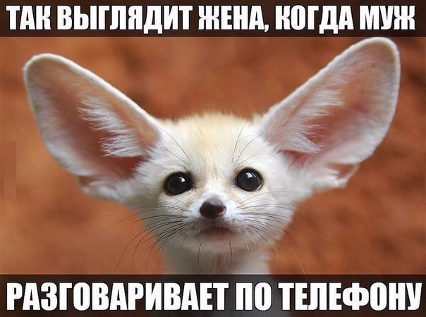  - 18  2018  17:11