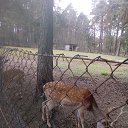 ���� �����, ����� - ��������� 25 �������� 2018 � ������ ������ ��������