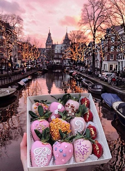 ������� ���������