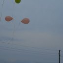 ���� �������, ���������� - ��������� 7 �������� 2018