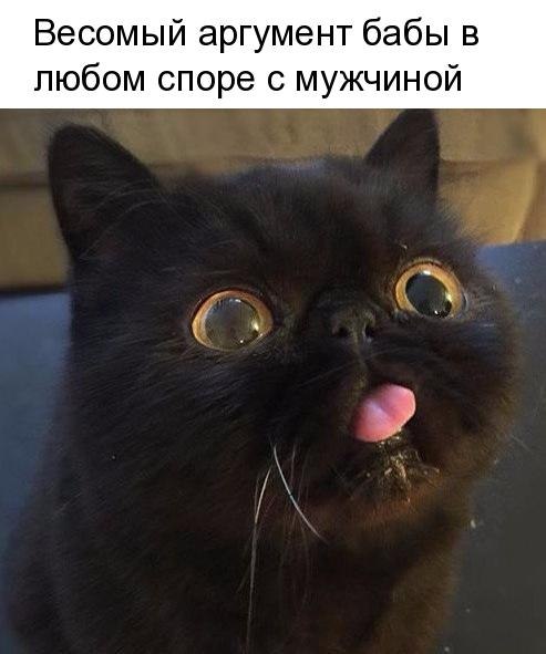   - 13  2018  16:43