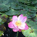 ���� Martin, �����������, 62 ���� - ��������� 5 ������� 2019 � ������ ������ ��������