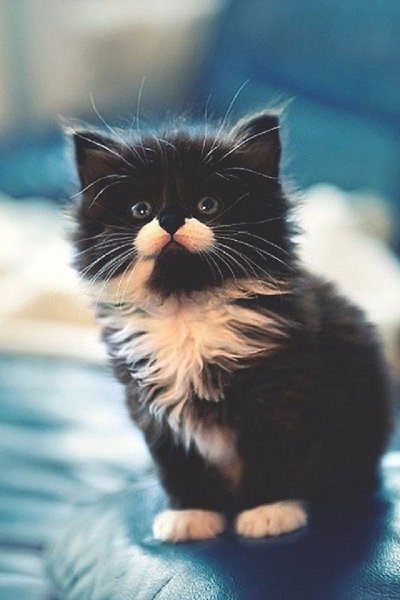 Цени жизнь! Цени то, что есть сегодня! Не трать время на вещи, которые не стоят твоего ... - 4