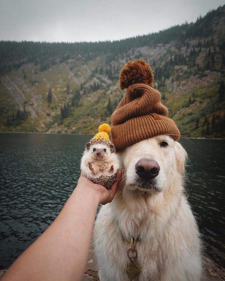    .: https://fotostrana.ru/away?to=/sl/qcG ()#@ican - 6