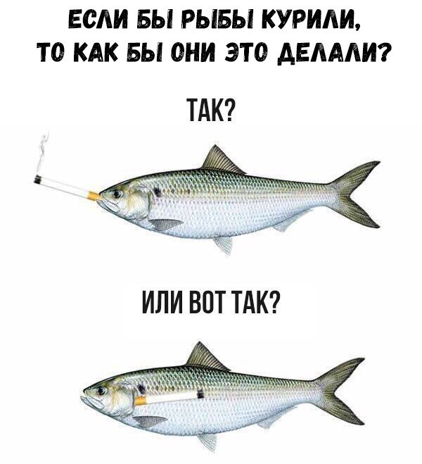    :D - 9  2018  16:38