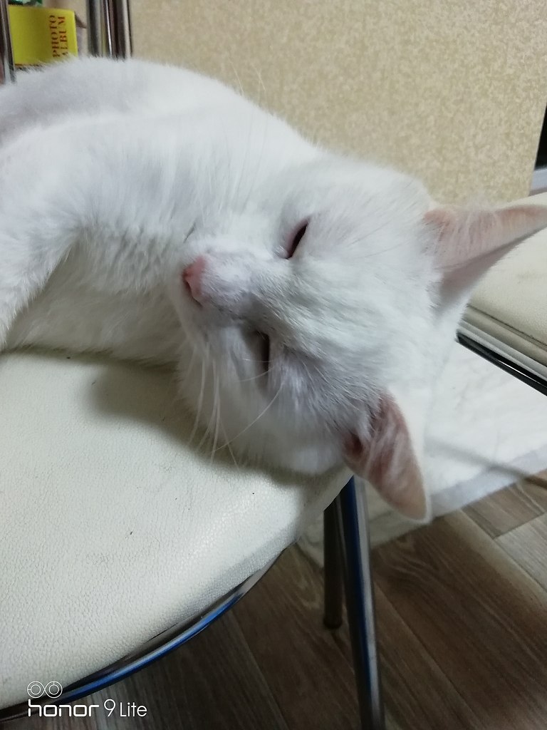 #_.              . ... - 5