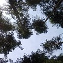  -  !!!    ,  .  2018.