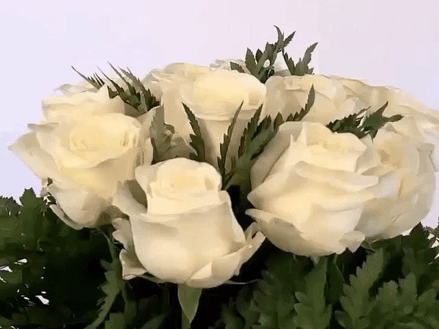 Любовь, как кошка - подкрадётся, На мягких лапах, и тогда, К тебе, вдруг, счастье - повернётся, ...