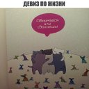 ���� Noname, ������, 35 ��� - ��������� 1 �������� 2018 � ������ ������ ��������
