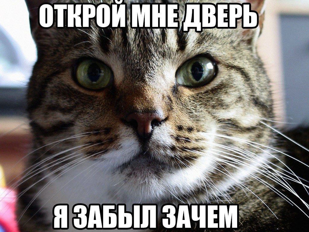   :3 - 21  2019  20:49