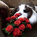 �������� ��������. �� ������� ������ ��������