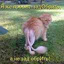 ���� ����, ������ �������� - ��������� 1 ������� 2019 � ������ ���� ����������