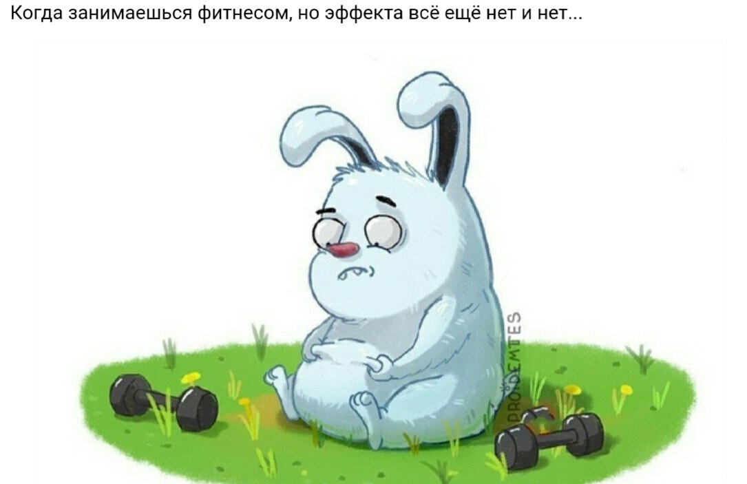   ... - 23  2019  01:51