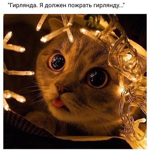   - 9  2018  16:39