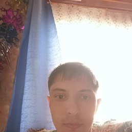 �����, ����, 37 ���